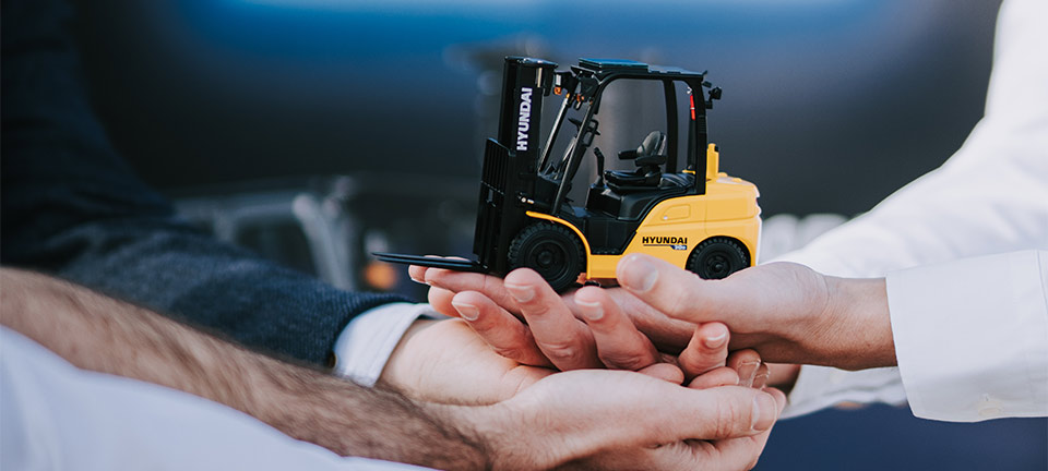 Intestazione MABO Lifting